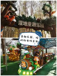 -汉石桥湿地童趣乐园