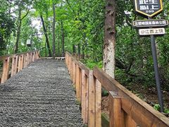 -云碧峰国家森林公园