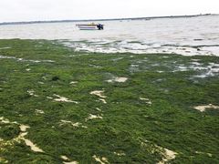 -北海金海湾红树林生态旅游区