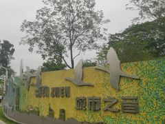 -白石龙音乐公园