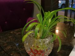 -上島咖啡(安亭店)