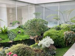 -罗红摄影艺术馆