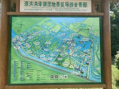 -泗洪洪泽湖湿地景区