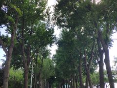 -人民防洪胜利纪念塔