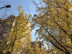 -南北湖风景区