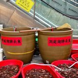 宁波的！露天野排档！氛围感拿捏！！