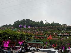 -枇杷园食为鲜火锅(南山店)