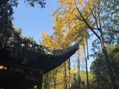 -汇龙潭