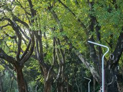 -人民公园(罗湖区)