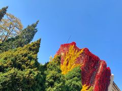 -辽宁大学(崇山校区)