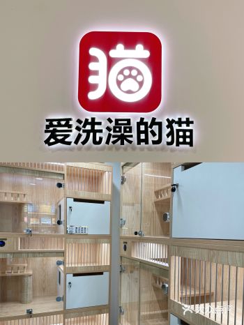 市面上多数为猫狗共用的宠物洗澡，其实猫猫会怕狗叫和狗