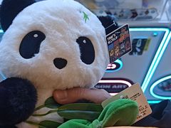 -汤姆熊欢乐世界(滨江店)