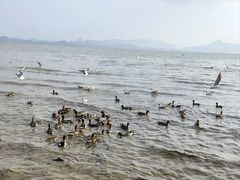 -深圳湾公园(南山区)