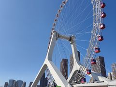 -海河游船-永乐码头(大悲院)