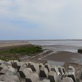 奉贤海湾
