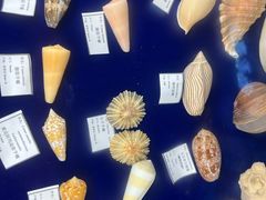 -上海海昌海洋公园