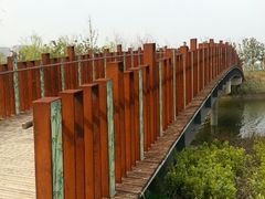 android_upload_pic-南翔镇银翔湖公园