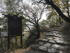 -阳台山自然风景区