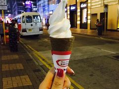 -富豪雪糕车流动点(尖沙咀店)