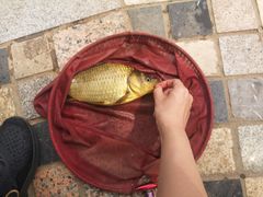 -酷鱼垂钓CLUB(朝阳区博大路店 )