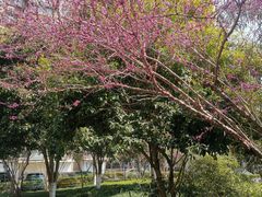 -杭州九堡客运中心