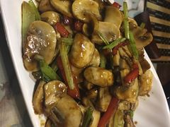 -素心斋素食餐厅