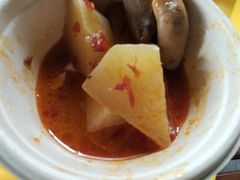 -广州长隆飞鸟乐园