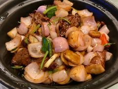 沙窝沙姜牛肉-金汇酒楼(中山东区店)