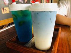 -柴犬高等学院·狗咖·柴犬售卖·宠物训练