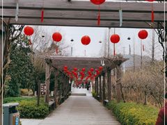 -白马涧龙池景区