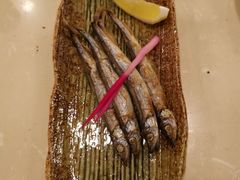 -彩葉·樱花屋日本料理(动物园店)