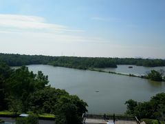 -大湾区中央湿地公园