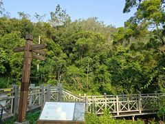 -南宁良凤江国家森林公园