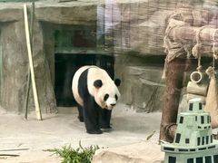 -灵玲国际马戏城