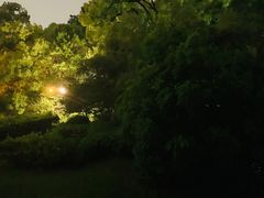 -杭州半山国家森林公园