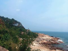 -广东惠东海龟国家级自然保护区