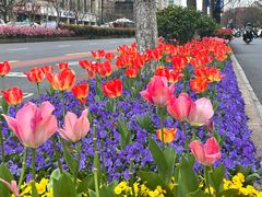 -杭州湖滨银泰in77