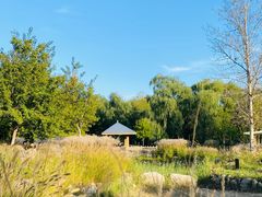 -野鸭湖国家湿地公园