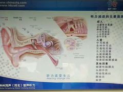 -智声助听器(赵县店)