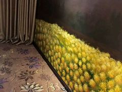 -厦门泰谷酒店(中山路镇海路地铁站店)