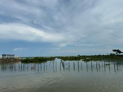 -北海金海湾红树林生态旅游区