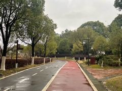 -八大山人梅湖景区
