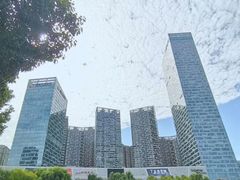-天鹅湖体育公园