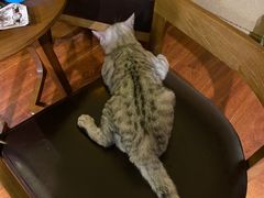 -H立方实景剧情密室(天河旗舰店)
