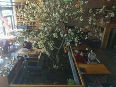 -山有花啡餐厅(常营总店)