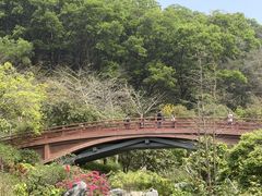-云溪植物园