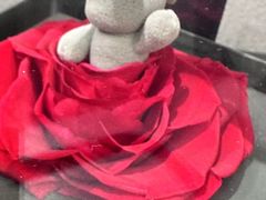 -ROSEONLY诺誓(沈阳万象城店)