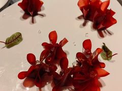 -柿合缘新京菜(静安嘉里中心店)