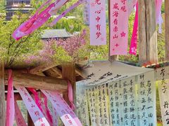 -石岛赤山风景区
