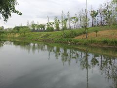 -新江湾城公园